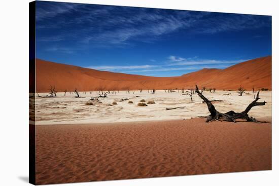 Namibia Desert-MJO Photo-Stretched Canvas