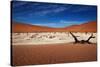 Namibia Desert-MJO Photo-Stretched Canvas