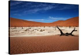 Namibia Desert-MJO Photo-Stretched Canvas