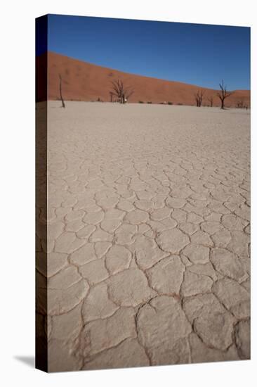 Namibia Desert-DR_Flash-Stretched Canvas