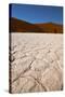 Namibia Desert-DR_Flash-Stretched Canvas