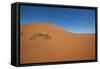 Namibia Desert-DR_Flash-Framed Stretched Canvas