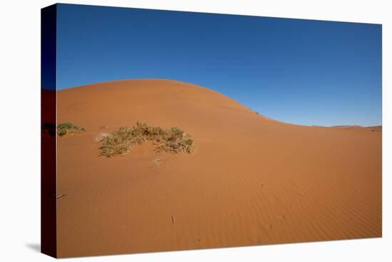 Namibia Desert-DR_Flash-Stretched Canvas