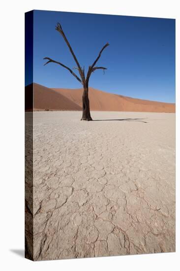 Namibia Desert-DR_Flash-Stretched Canvas