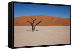 Namibia Desert-DR_Flash-Framed Stretched Canvas