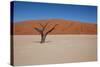 Namibia Desert-DR_Flash-Stretched Canvas