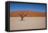 Namibia Desert-DR_Flash-Framed Stretched Canvas