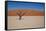 Namibia Desert-DR_Flash-Framed Stretched Canvas