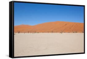 Namibia Desert-DR_Flash-Framed Stretched Canvas