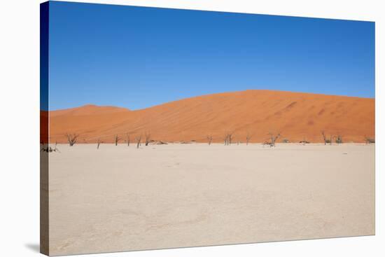 Namibia Desert-DR_Flash-Stretched Canvas