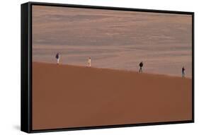 Namibia Desert-DR_Flash-Framed Stretched Canvas