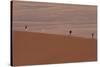 Namibia Desert-DR_Flash-Stretched Canvas