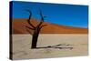 Namibia Desert-DR_Flash-Stretched Canvas