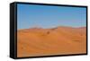 Namibia Desert-DR_Flash-Framed Stretched Canvas