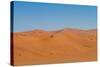 Namibia Desert-DR_Flash-Stretched Canvas