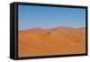 Namibia Desert-DR_Flash-Framed Stretched Canvas