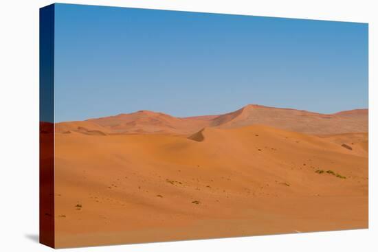 Namibia Desert-DR_Flash-Stretched Canvas