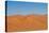 Namibia Desert-DR_Flash-Stretched Canvas