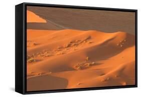 Namibia Desert-DR_Flash-Framed Stretched Canvas