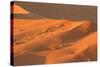 Namibia Desert-DR_Flash-Stretched Canvas