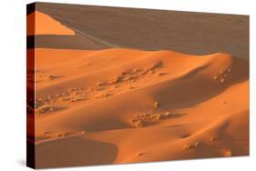 Namibia Desert-DR_Flash-Stretched Canvas