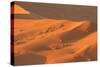 Namibia Desert-DR_Flash-Stretched Canvas