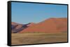 Namibia Desert-DR_Flash-Framed Stretched Canvas