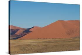 Namibia Desert-DR_Flash-Stretched Canvas