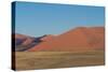 Namibia Desert-DR_Flash-Stretched Canvas