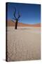 Namibia Desert-DR_Flash-Stretched Canvas