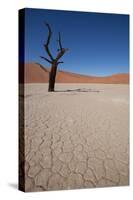 Namibia Desert-DR_Flash-Stretched Canvas