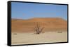 Namibia Desert-DR_Flash-Framed Stretched Canvas