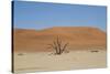 Namibia Desert-DR_Flash-Stretched Canvas