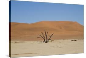 Namibia Desert-DR_Flash-Stretched Canvas