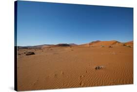 Namibia Desert-DR_Flash-Stretched Canvas