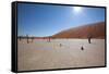 Namibia Desert-DR_Flash-Framed Stretched Canvas