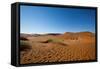 Namibia Desert-DR_Flash-Framed Stretched Canvas