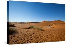 Namibia Desert-DR_Flash-Stretched Canvas