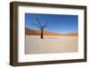 Namibia Desert-DR_Flash-Framed Photographic Print