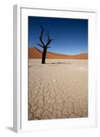 Namibia Desert-DR_Flash-Framed Photographic Print