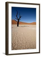 Namibia Desert-DR_Flash-Framed Photographic Print