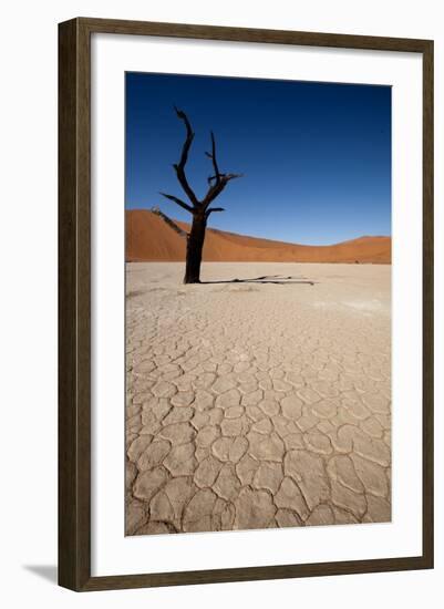 Namibia Desert-DR_Flash-Framed Photographic Print