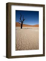 Namibia Desert-DR_Flash-Framed Photographic Print