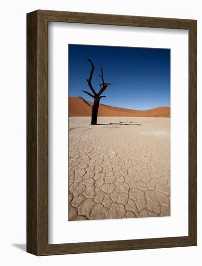 Namibia Desert-DR_Flash-Framed Photographic Print