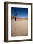 Namibia Desert-DR_Flash-Framed Photographic Print