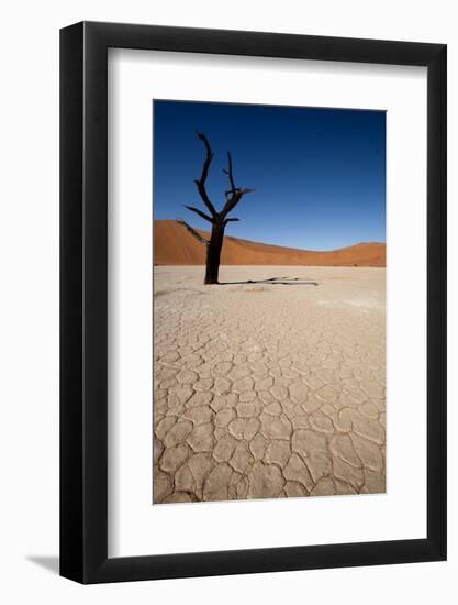 Namibia Desert-DR_Flash-Framed Photographic Print