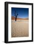 Namibia Desert-DR_Flash-Framed Photographic Print