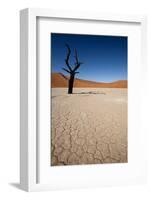 Namibia Desert-DR_Flash-Framed Photographic Print