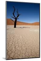 Namibia Desert-DR_Flash-Mounted Photographic Print