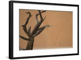 Namibia Desert-DR_Flash-Framed Photographic Print